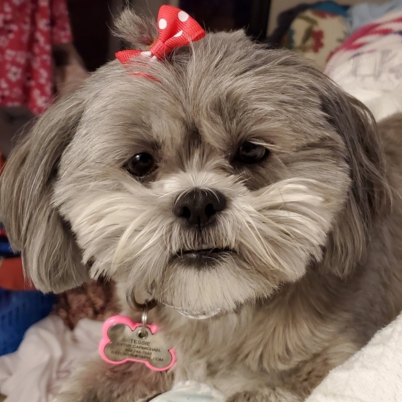 Meet your Posher, Kathy - Picture 2 of 2